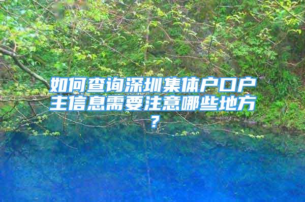 如何查詢深圳集體戶口戶主信息需要注意哪些地方？