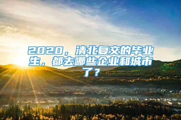 2020，清北復(fù)交的畢業(yè)生，都去哪些企業(yè)和城市了？