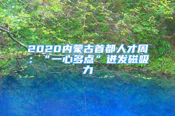 2020內(nèi)蒙古首都人才周：“一心多點”迸發(fā)磁吸力