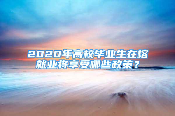 2020年高校畢業(yè)生在榕就業(yè)將享受哪些政策？