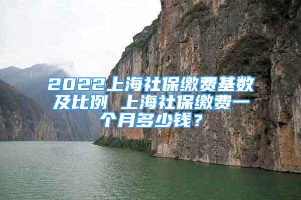 2022上海社保繳費(fèi)基數(shù)及比例 上海社保繳費(fèi)一個月多少錢？