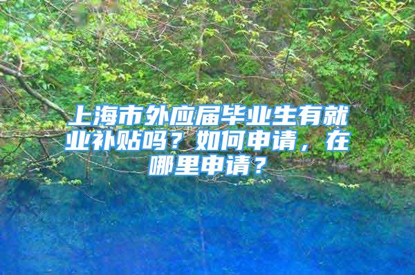 上海市外應(yīng)屆畢業(yè)生有就業(yè)補(bǔ)貼嗎？如何申請，在哪里申請？