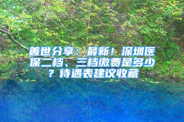 善世分享：最新！深圳醫(yī)保二檔、三檔繳費(fèi)是多少？待遇表建議收藏