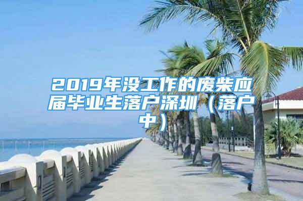 2019年沒工作的廢柴應(yīng)屆畢業(yè)生落戶深圳（落戶中）