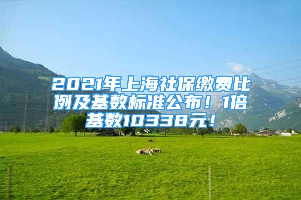 2021年上海社保繳費比例及基數(shù)標準公布！1倍基數(shù)10338元！