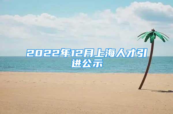 2022年12月上海人才引進(jìn)公示