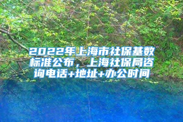 2022年上海市社保基數(shù)標(biāo)準(zhǔn)公布，上海社保局咨詢電話+地址+辦公時(shí)間