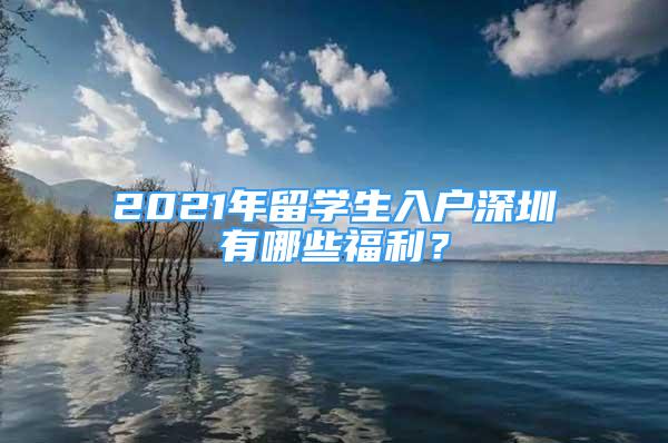 2021年留學(xué)生入戶深圳有哪些福利？