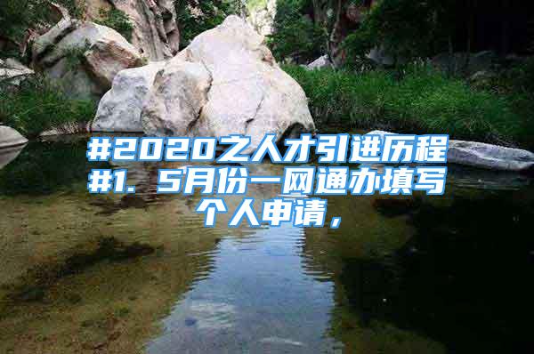 #2020之人才引進(jìn)歷程#1. 5月份一網(wǎng)通辦填寫個(gè)人申請(qǐng)，