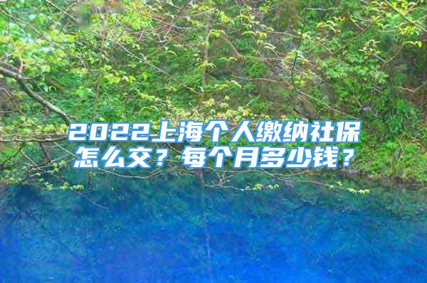 2022上海個(gè)人繳納社保怎么交？每個(gè)月多少錢？