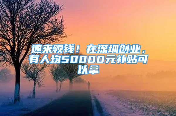 速來領錢！在深圳創(chuàng)業(yè)，有人均50000元補貼可以拿