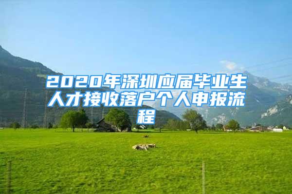 2020年深圳應(yīng)屆畢業(yè)生人才接收落戶個(gè)人申報(bào)流程