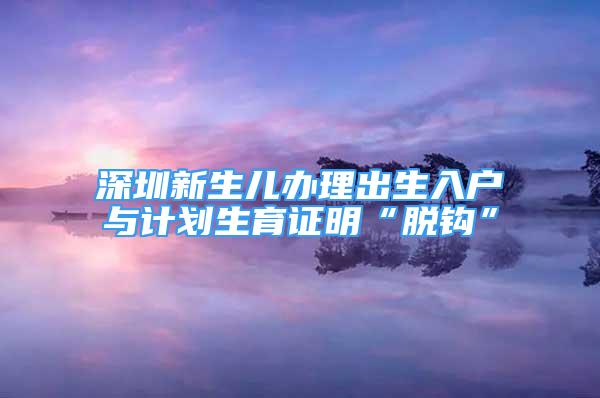 深圳新生兒辦理出生入戶與計劃生育證明“脫鉤”