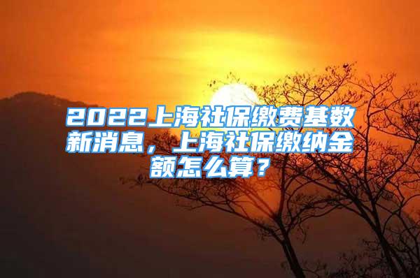 2022上海社保繳費(fèi)基數(shù)新消息，上海社保繳納金額怎么算？