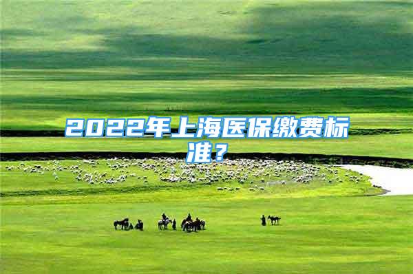 2022年上海醫(yī)保繳費(fèi)標(biāo)準(zhǔn)？