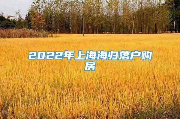 2022年上海海歸落戶購房