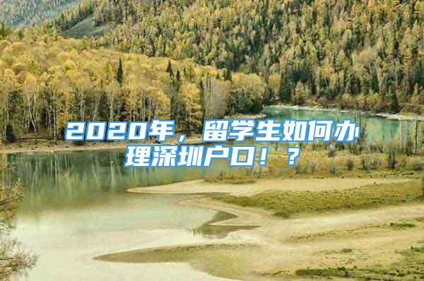 2020年，留學(xué)生如何辦理深圳戶口??？