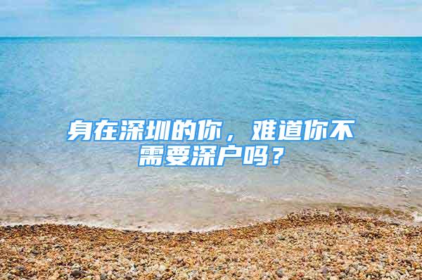 身在深圳的你，難道你不需要深戶嗎？