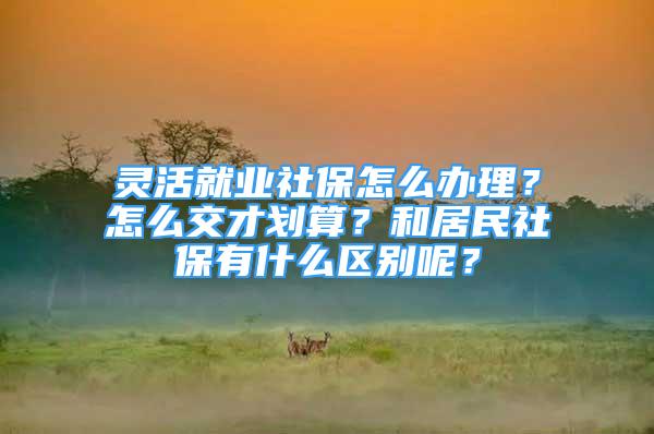 靈活就業(yè)社保怎么辦理？怎么交才劃算？和居民社保有什么區(qū)別呢？