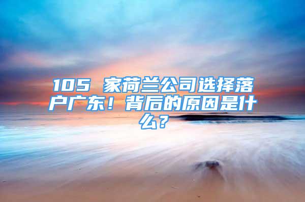 105 家荷蘭公司選擇落戶廣東！背后的原因是什么？