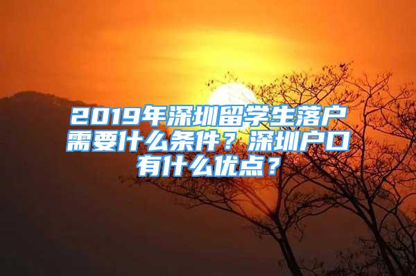 2019年深圳留學(xué)生落戶需要什么條件？深圳戶口有什么優(yōu)點？