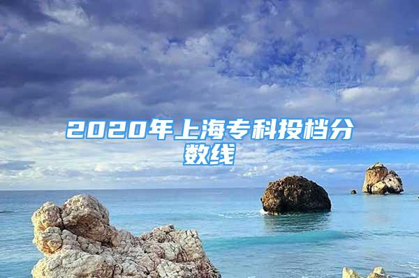 2020年上海專科投檔分數(shù)線