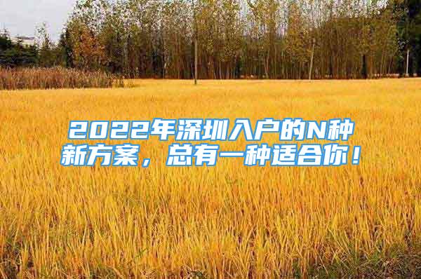 2022年深圳入戶的N種新方案，總有一種適合你！