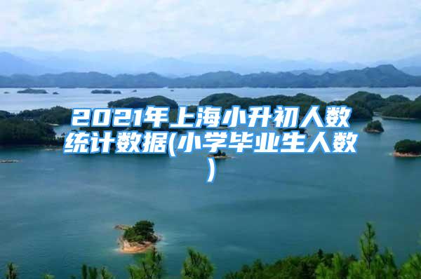 2021年上海小升初人數(shù)統(tǒng)計(jì)數(shù)據(jù)(小學(xué)畢業(yè)生人數(shù))