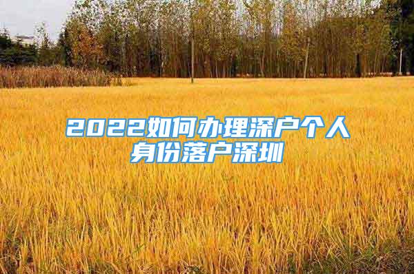 2022如何辦理深戶個人身份落戶深圳