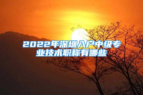 2022年深圳入戶中級專業(yè)技術職稱有哪些