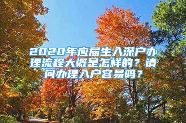 2020年應(yīng)屆生入深戶辦理流程大概是怎樣的？請問辦理入戶容易嗎？