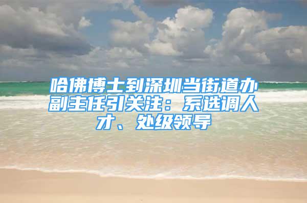 哈佛博士到深圳當(dāng)街道辦副主任引關(guān)注：系選調(diào)人才、處級(jí)領(lǐng)導(dǎo)