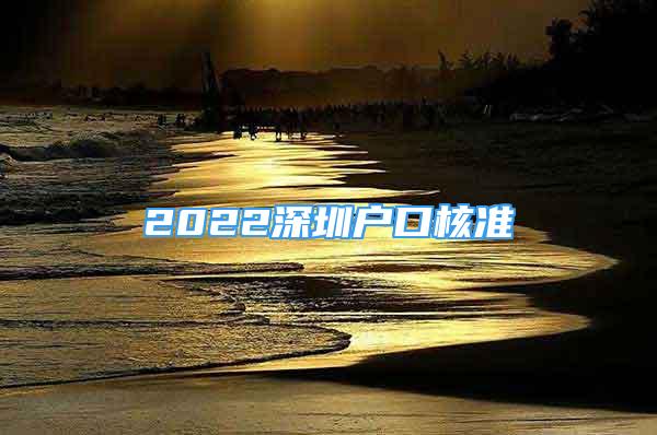 2022深圳戶口核準