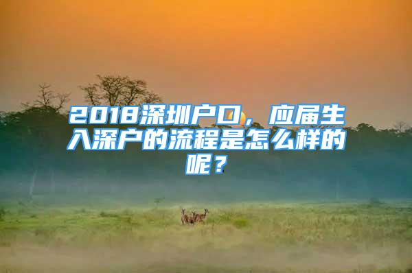 2018深圳戶口，應(yīng)屆生入深戶的流程是怎么樣的呢？