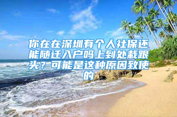 你在在深圳有個人社保還能隨遷入戶嗎上到處栽跟頭？可能是這種原因致使的