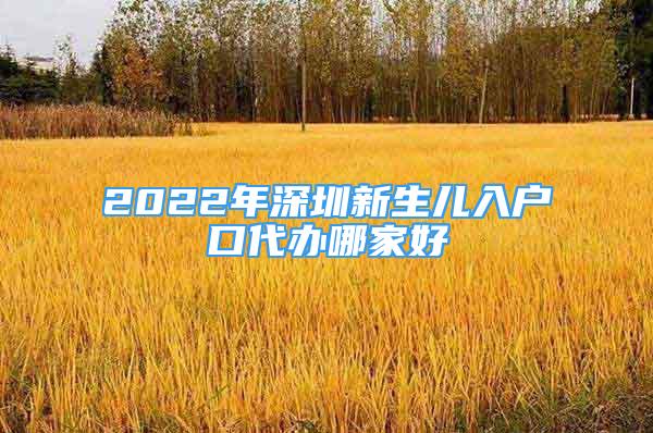 2022年深圳新生兒入戶口代辦哪家好