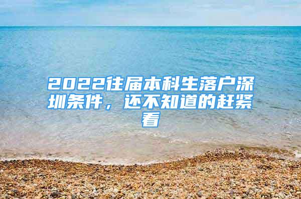 2022往屆本科生落戶深圳條件，還不知道的趕緊看