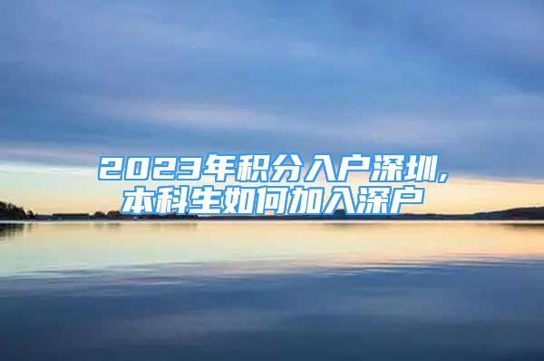 2023年積分入戶深圳,本科生如何加入深戶