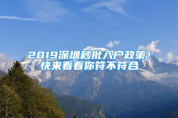 2019深圳秒批入戶政策！快來(lái)看看你符不符合