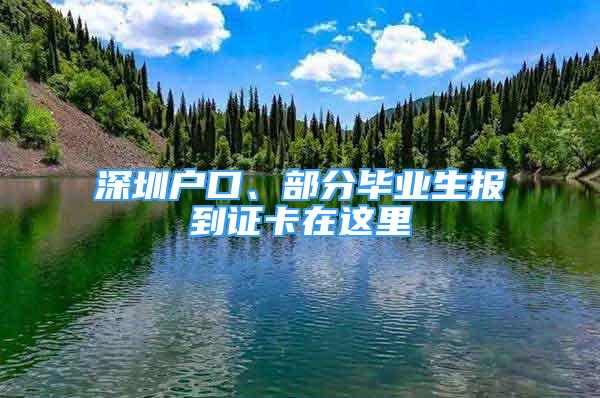 深圳戶口、部分畢業(yè)生報到證卡在這里