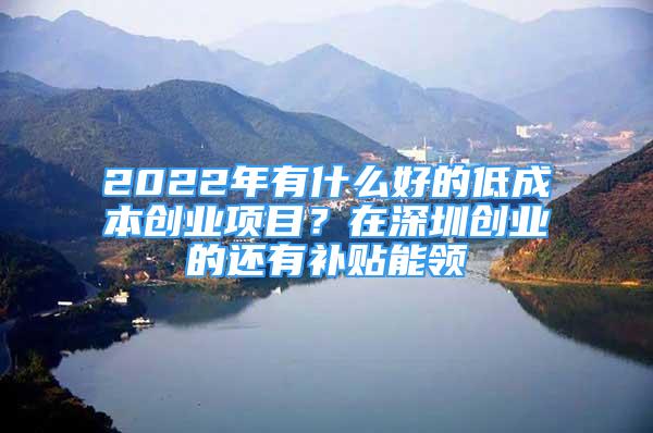 2022年有什么好的低成本創(chuàng)業(yè)項目？在深圳創(chuàng)業(yè)的還有補貼能領