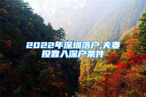 2022年深圳落戶,夫妻投靠入深戶條件