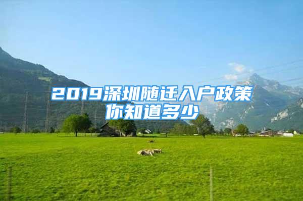 2019深圳隨遷入戶政策你知道多少