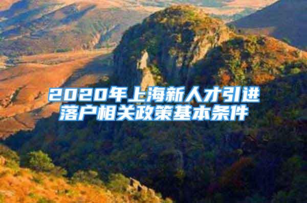 2020年上海新人才引進落戶相關(guān)政策基本條件