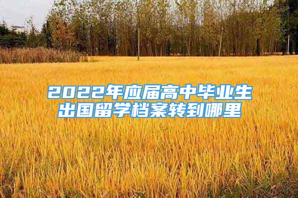 2022年應(yīng)屆高中畢業(yè)生出國留學(xué)檔案轉(zhuǎn)到哪里