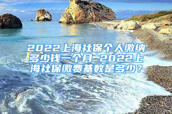 2022上海社保個人繳納多少錢一個月 2022上海社保繳費基數(shù)是多少？