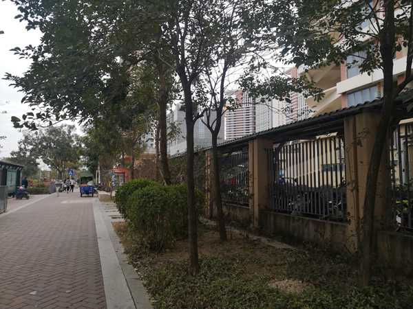 深圳的集體戶口可以遷出嗎