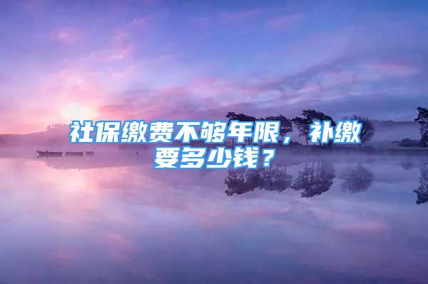 社保繳費不夠年限，補繳要多少錢？