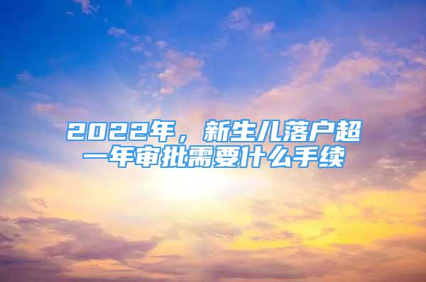 2022年，新生兒落戶超一年審批需要什么手續(xù)