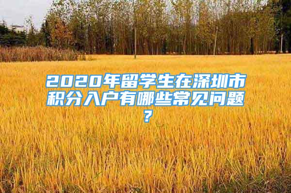 2020年留學(xué)生在深圳市積分入戶有哪些常見問題？